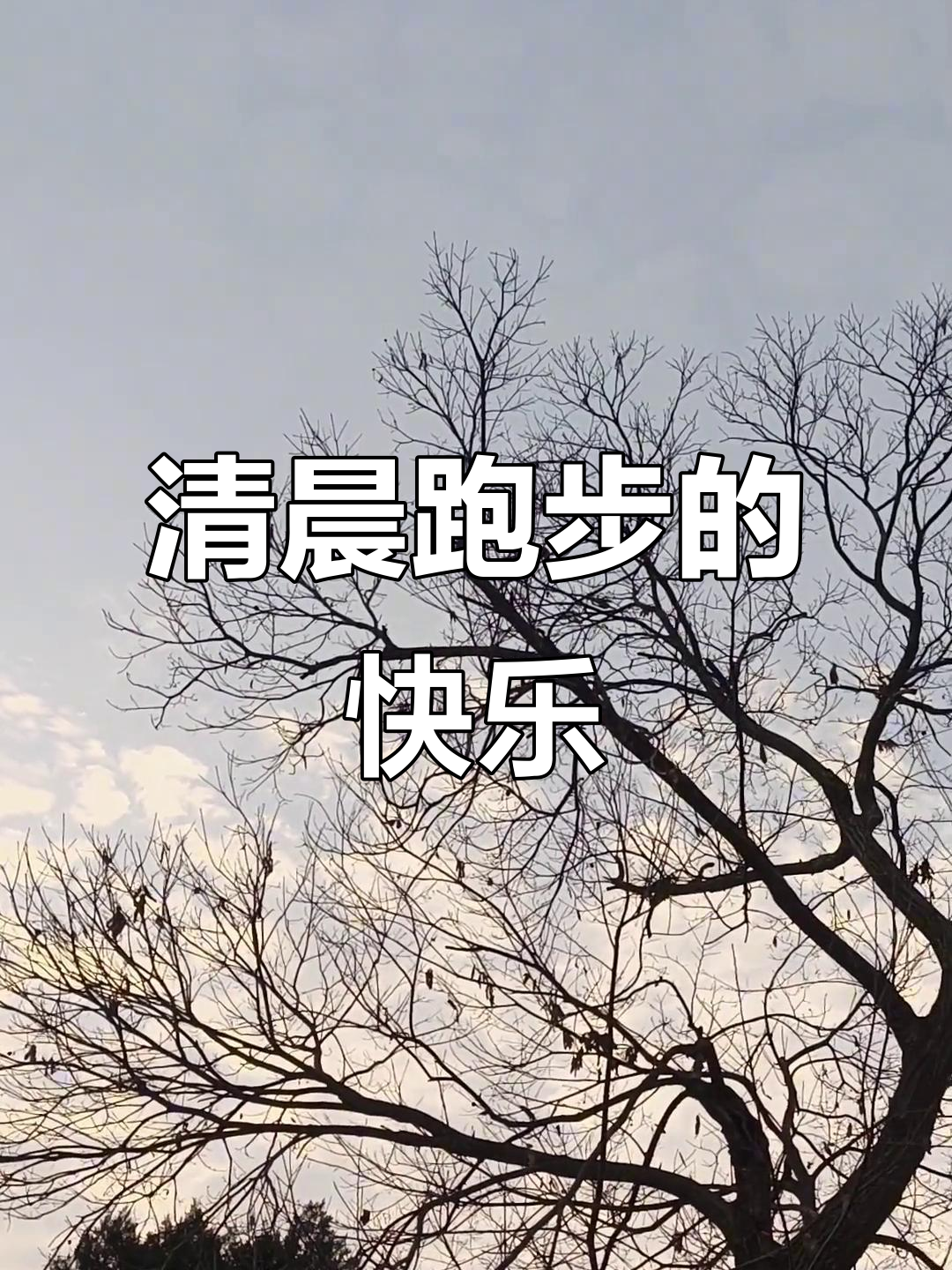 早晨跑步,享受世外桃源般的宁静与清新