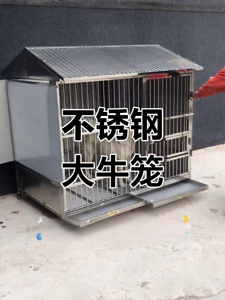 150不锈钢狗笼,室外防雨遮阳设计,结实耐用