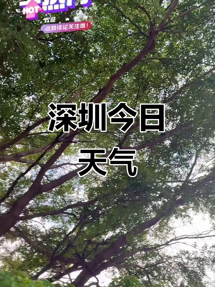 深圳天气:局部多云,阵风7米/秒,气温24