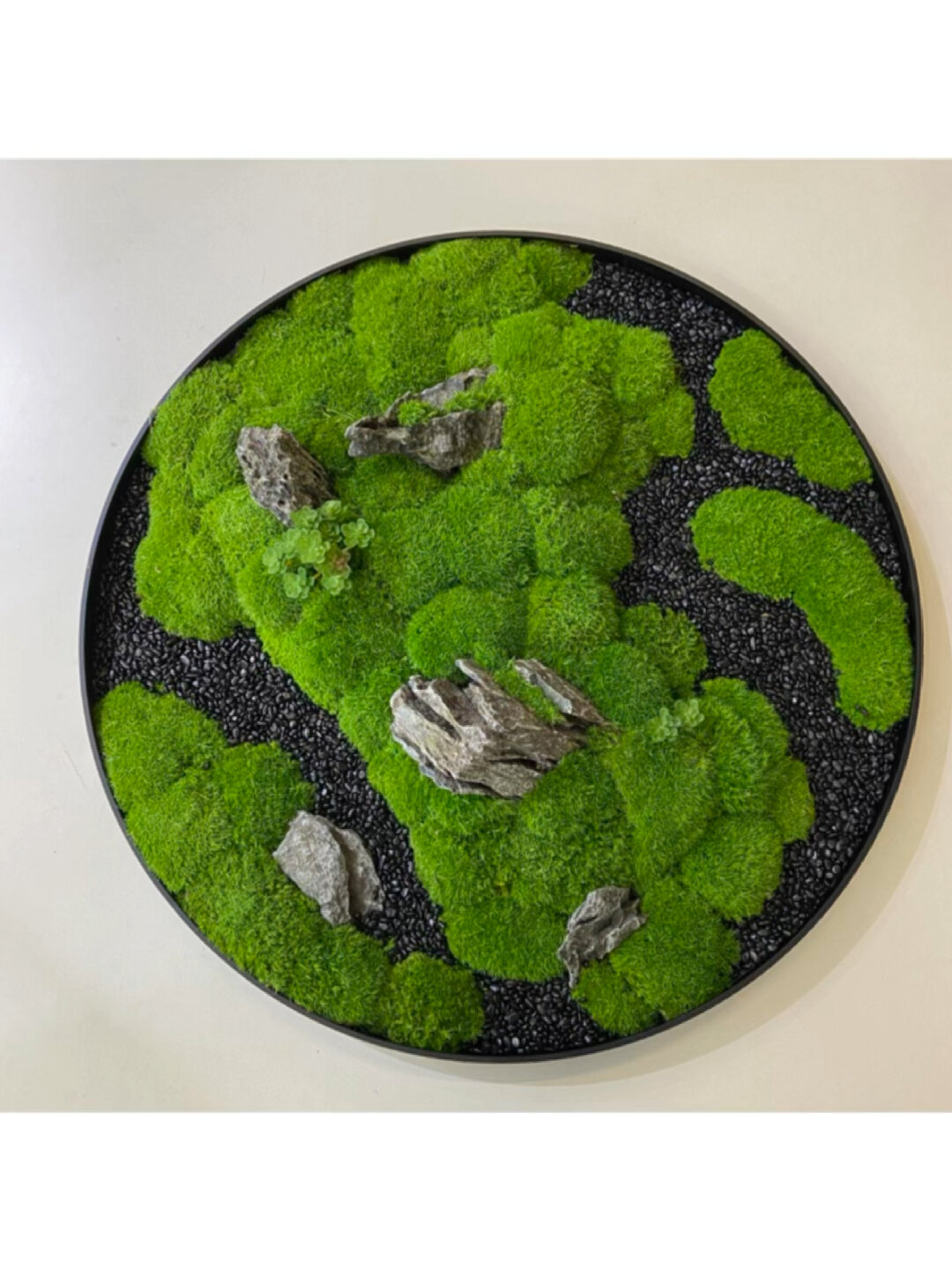 永生苔藓盆景,让你的心情变得更加愉悦