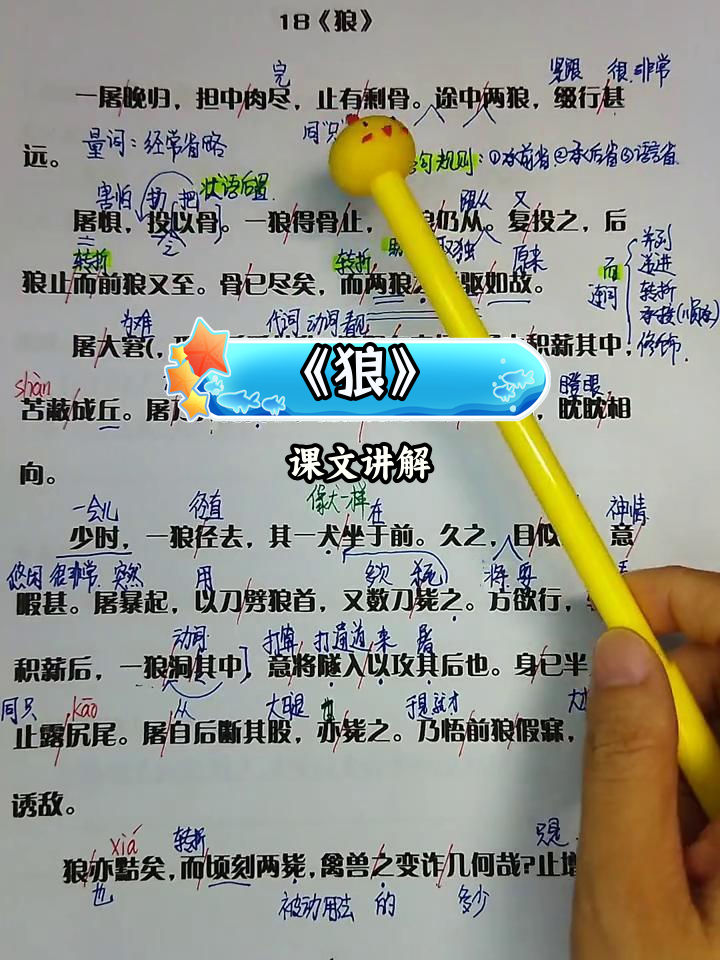 狼的左手系列全文