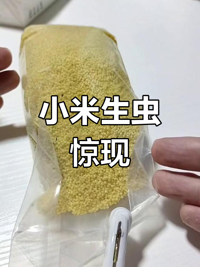 小米放袋里居然长虫,这生命力太惊人!还能吃吗?