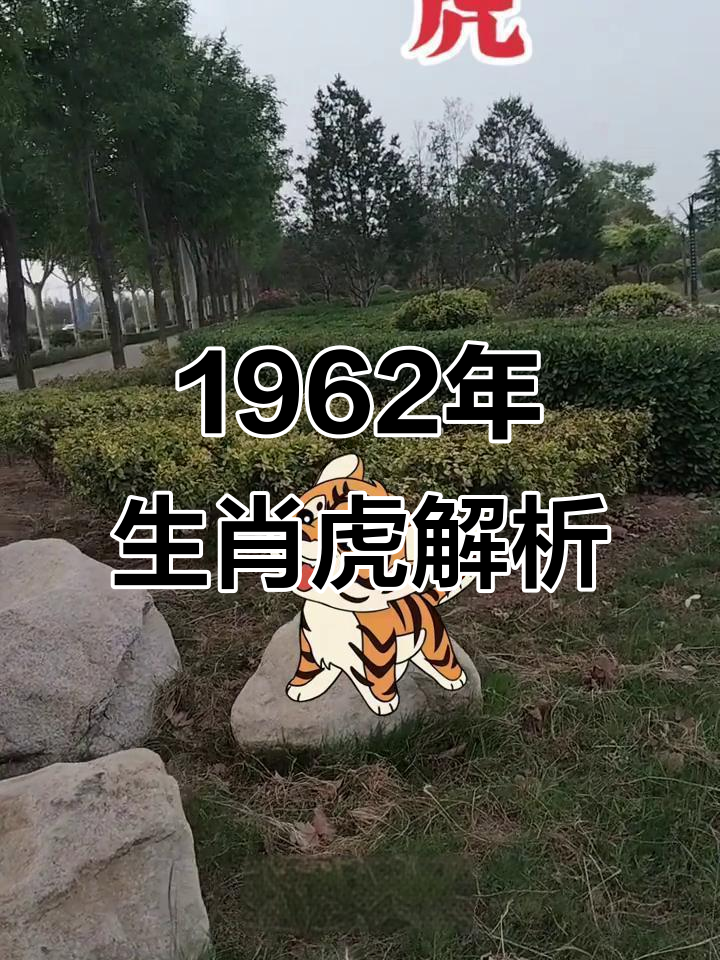 1962生肖虎健康运势(1962年属虎2021年健康)