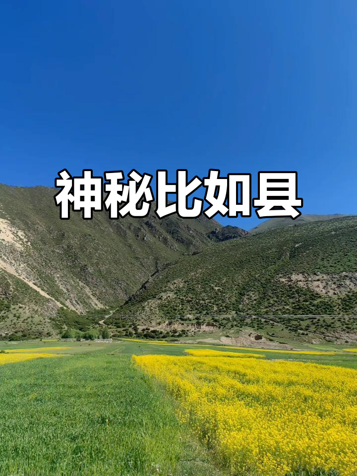 1959年9月,比如县海拔4500米珍稀动植物聚集地