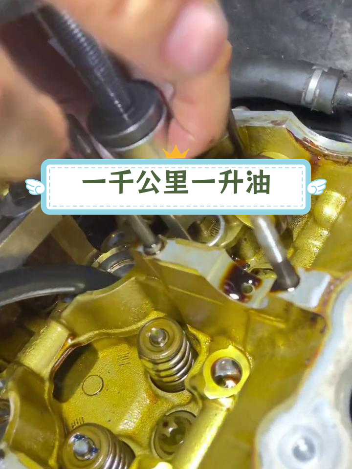 宝马x1烧机油问题,保养良好仍无法解决