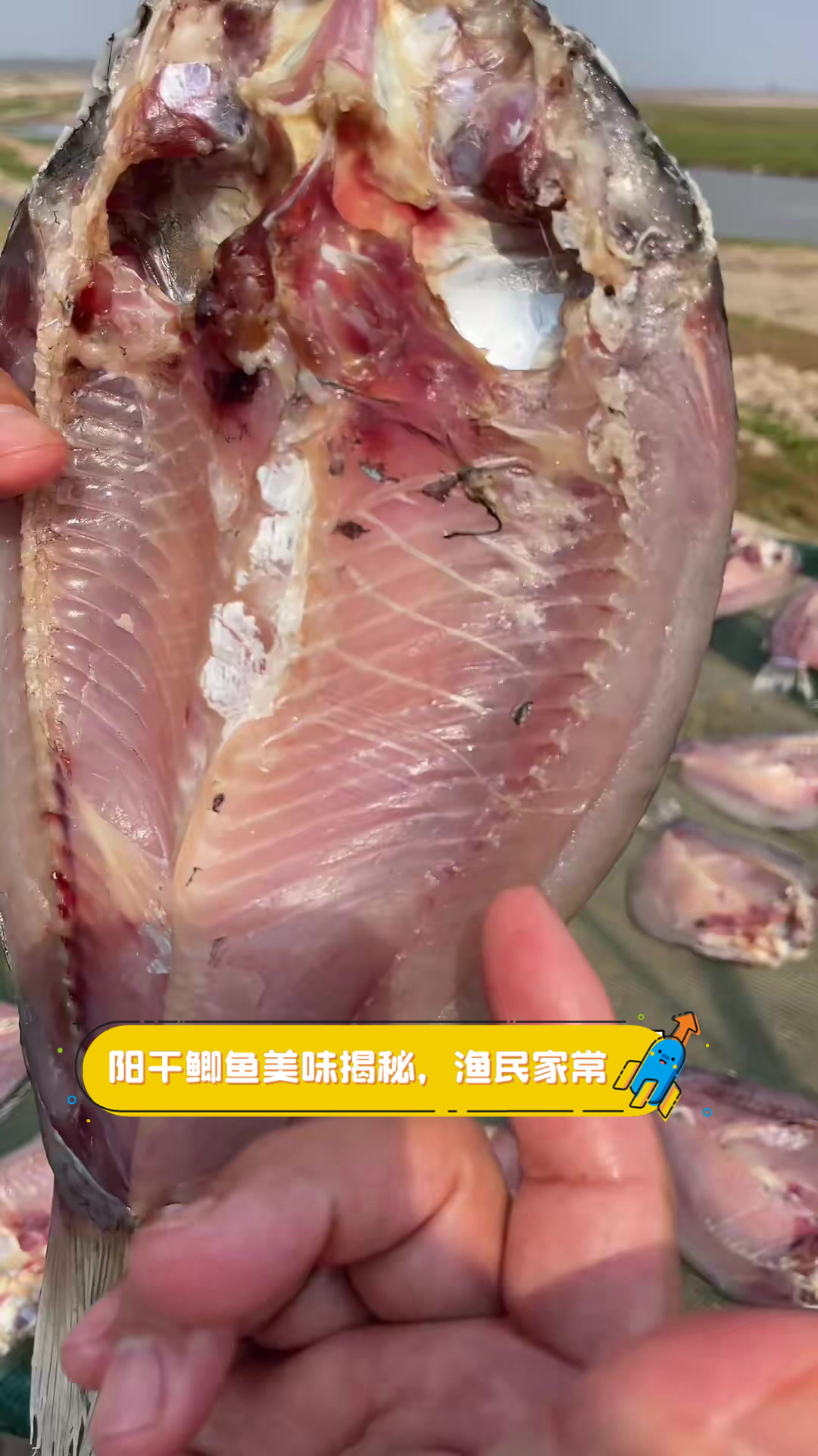 阳干鲫鱼美味揭秘,渔民家常