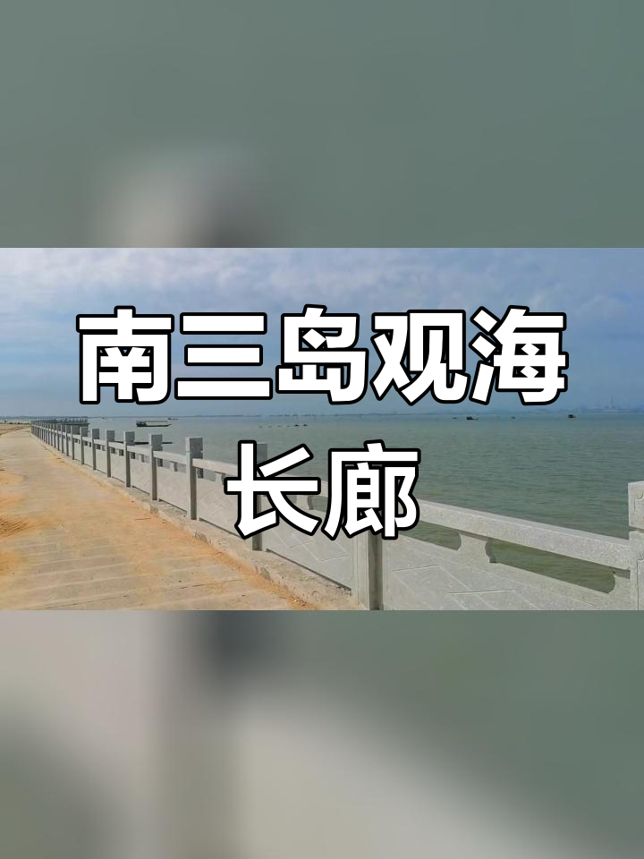 湛江南三岛全景图图片