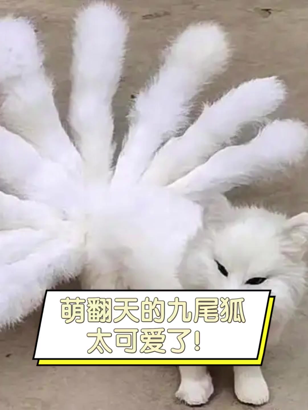 萌翻天的九尾狐,太可爱了!