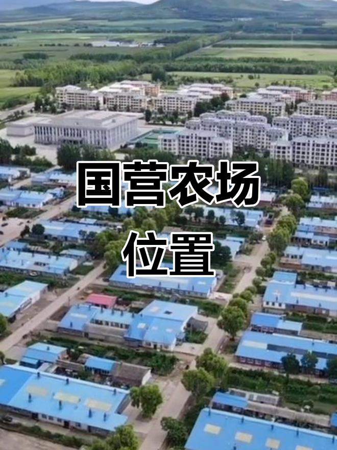 胜利农场,黑龙江饶河北岸的国营农业基地
