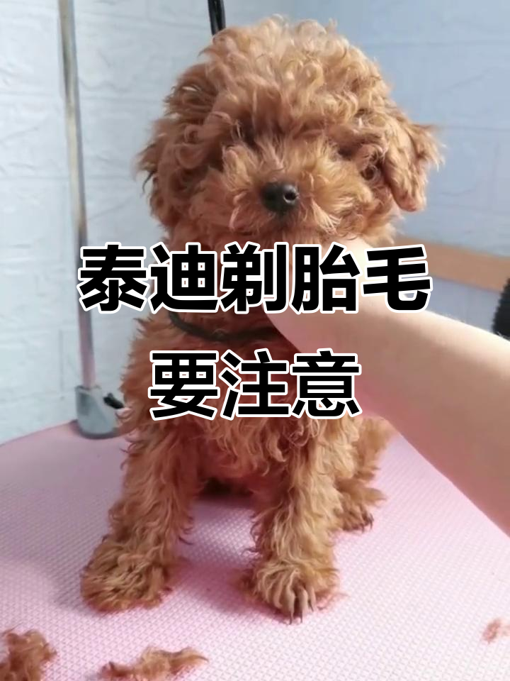 老一辈人为什么要剪胎发为什么在线