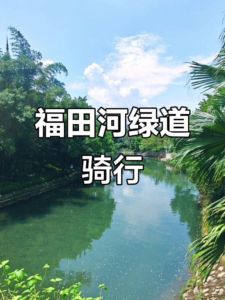 深圳福田河绿道:骑行徒步的治愈天堂