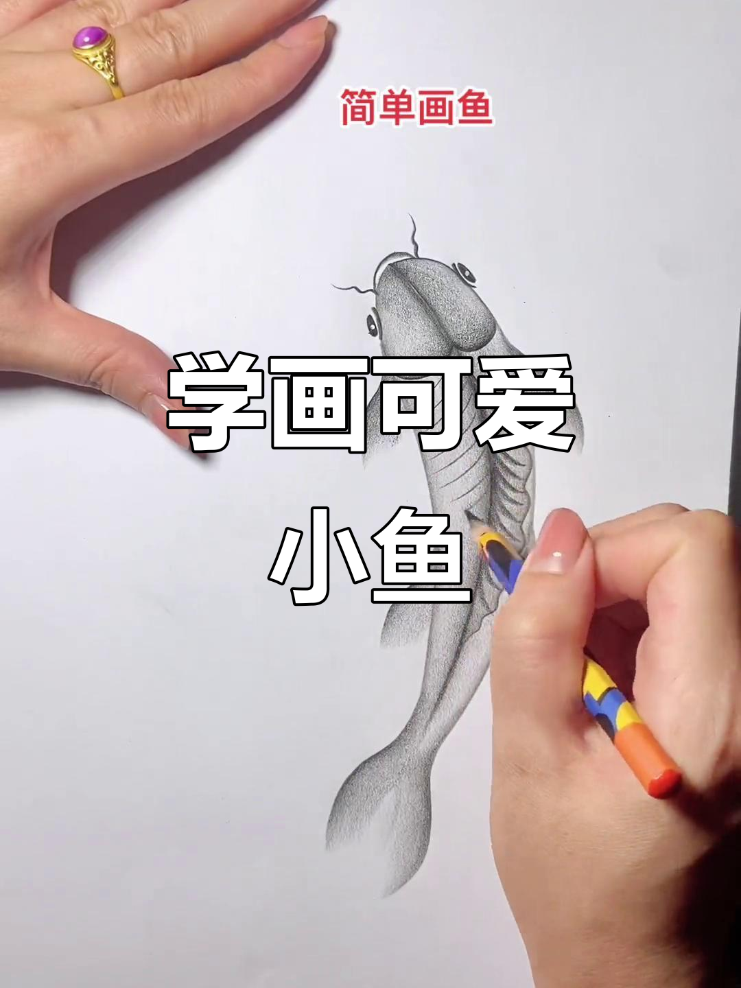 零基础学画鱼,简单又好玩