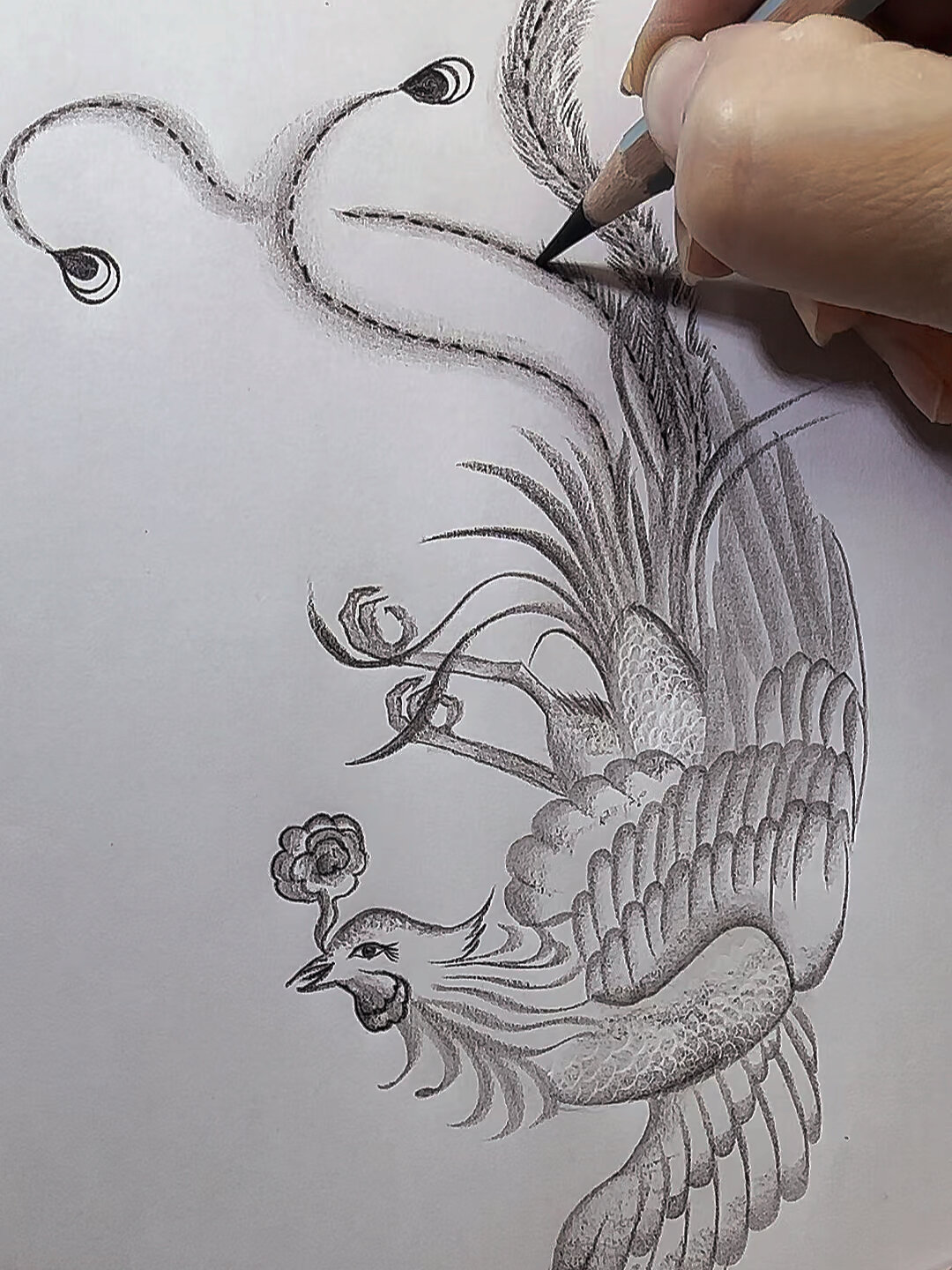 炭笔凤凰画法