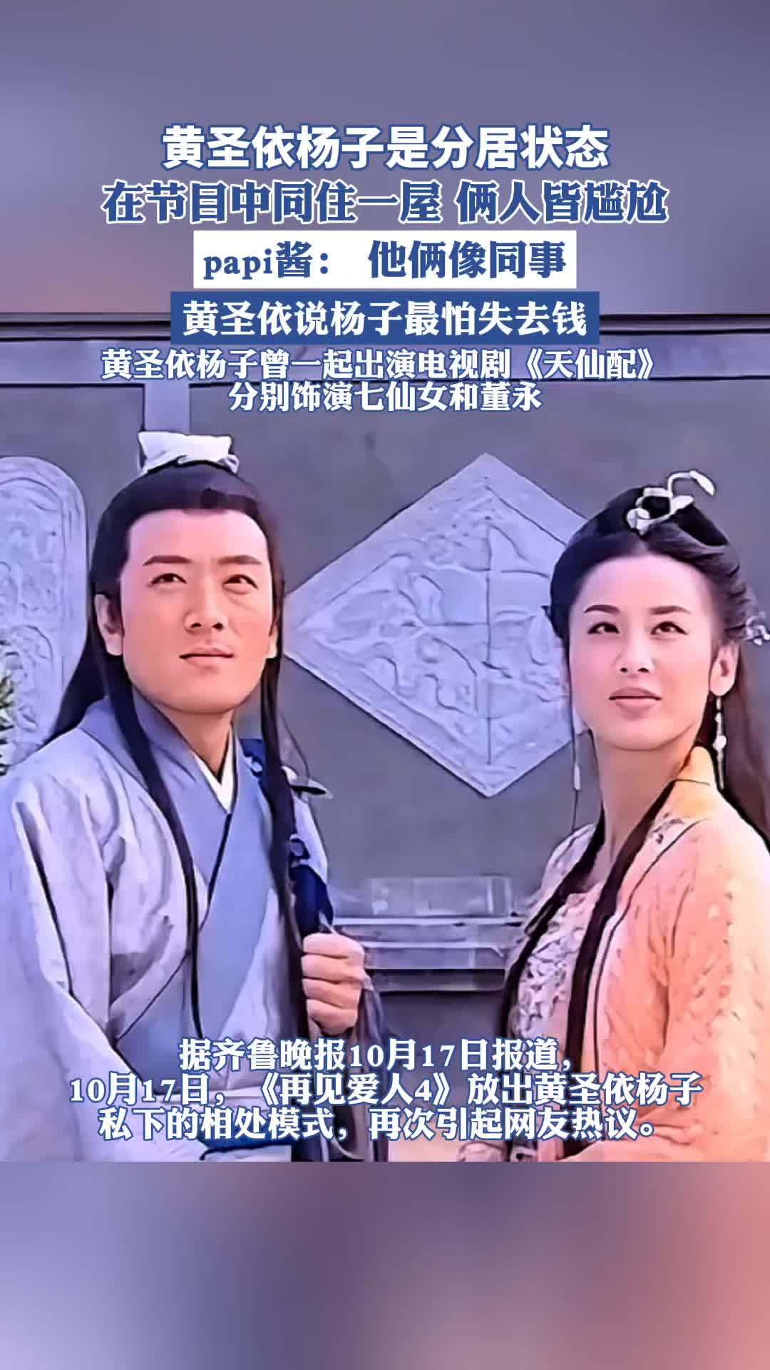 杨子与黄圣依图片