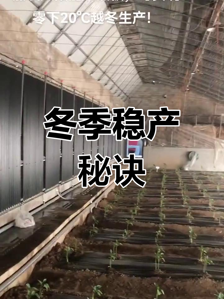 大棚加温最经济的方法(大棚加温最经济的方法是什么)