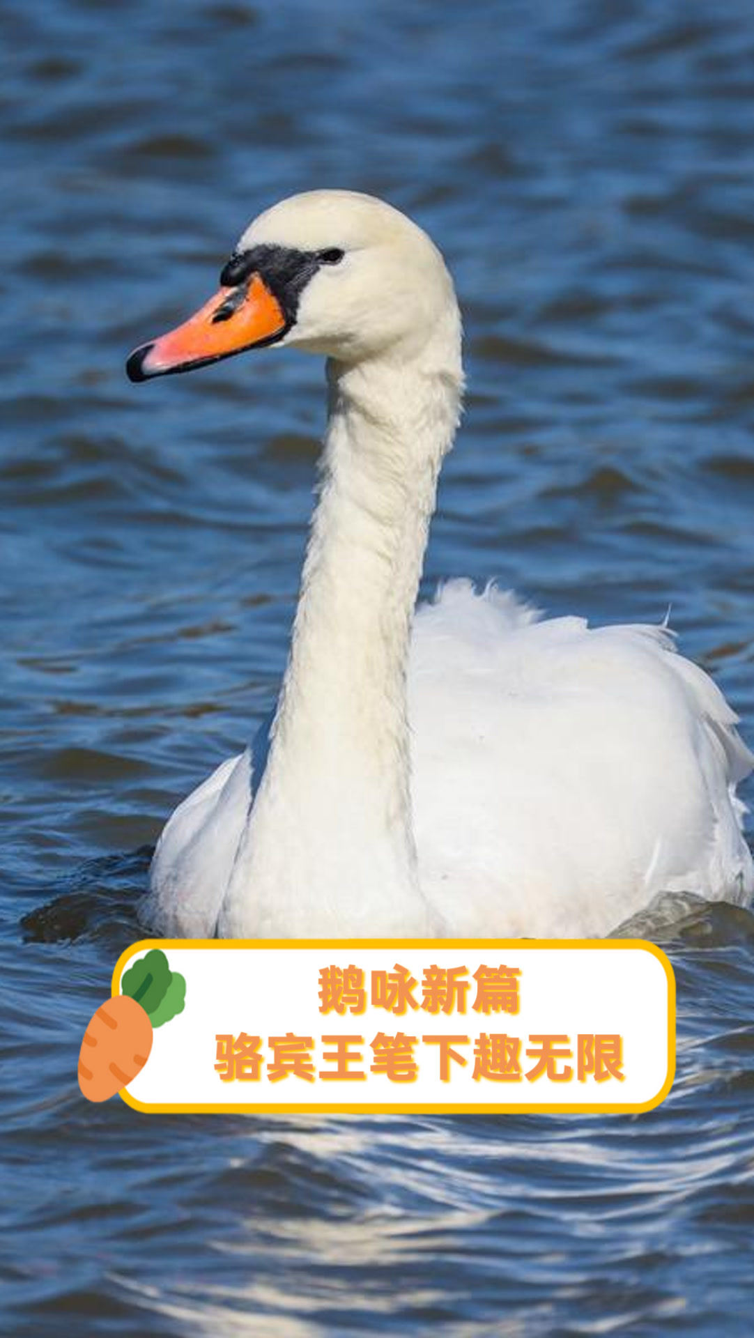 鹅咏新篇骆宾王笔下趣无限