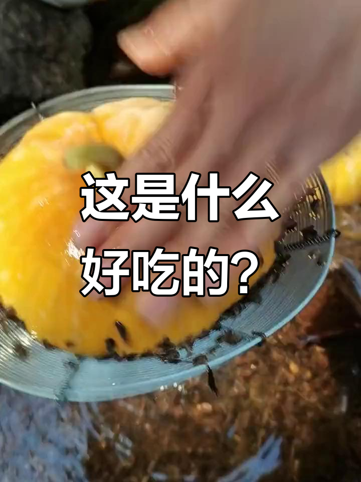 这东西看起来好诱人,真想尝尝