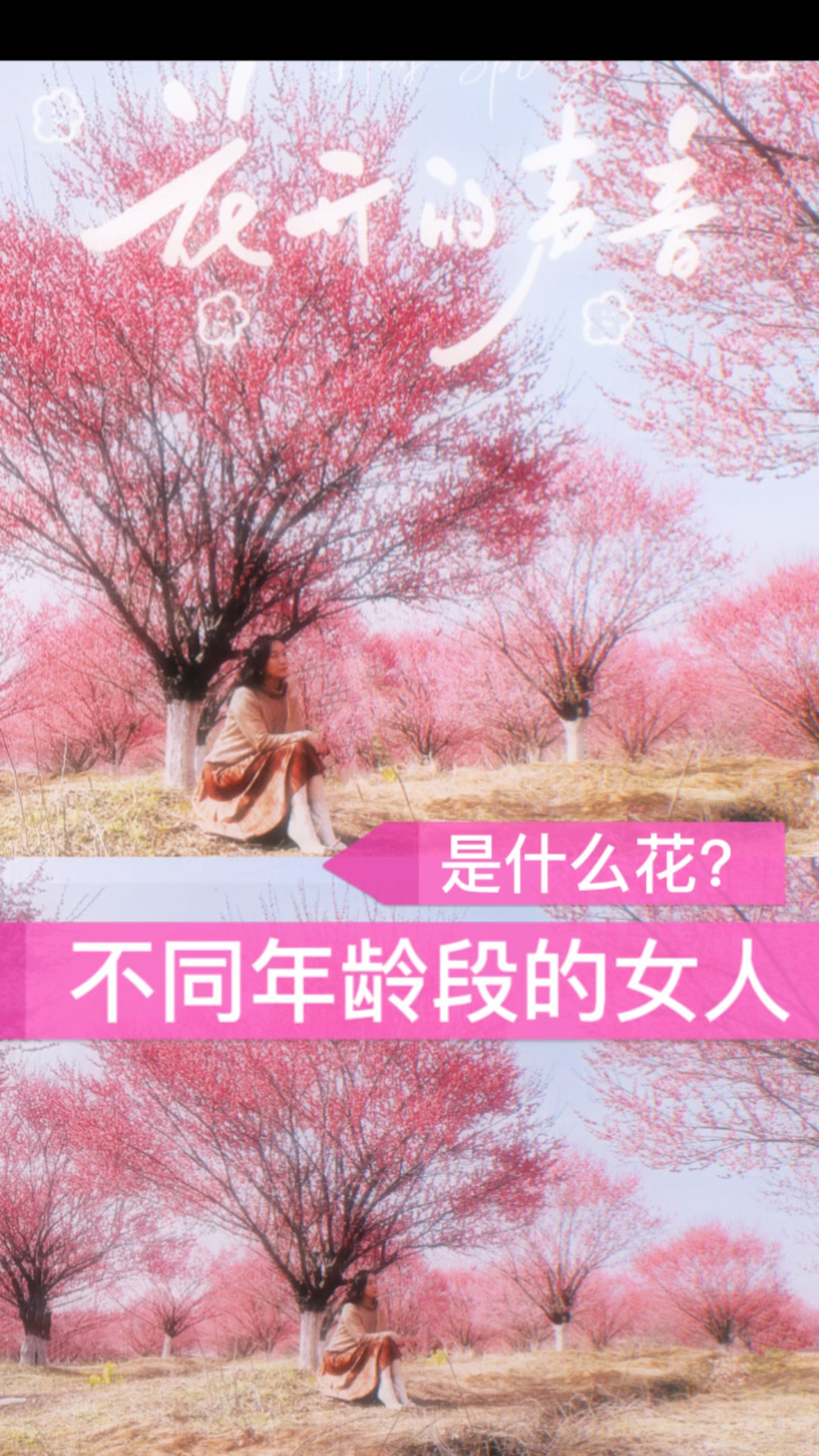 不同年龄段的女人,是什么花?