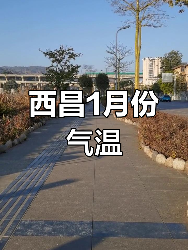 西昌2023年1月天气预报