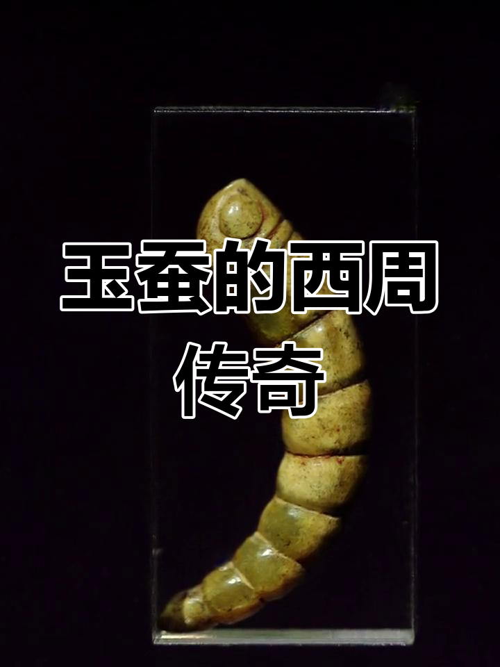 1991年虢国夫人墓出土西周玉蚕
