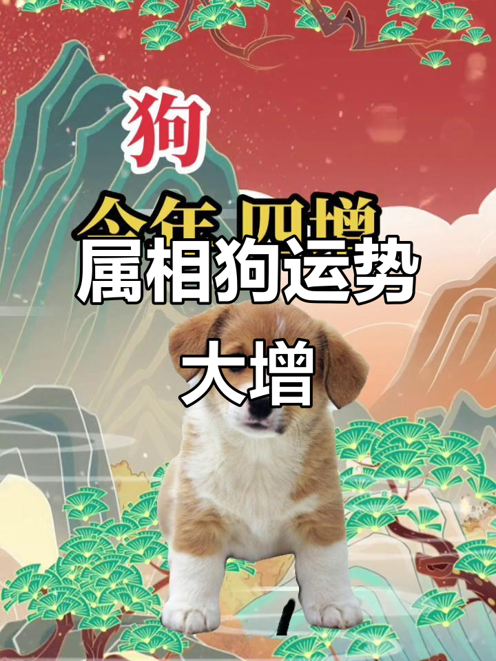 十二生肖属狗的运势(生肖狗运势2021年运势大全)