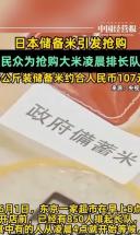 日本储备米首次线下开售引发抢购，民众为抢购大米凌晨排长队 日本储备米引发抢购 日本大米日本米价热点 日本非竟标储备米线下开售