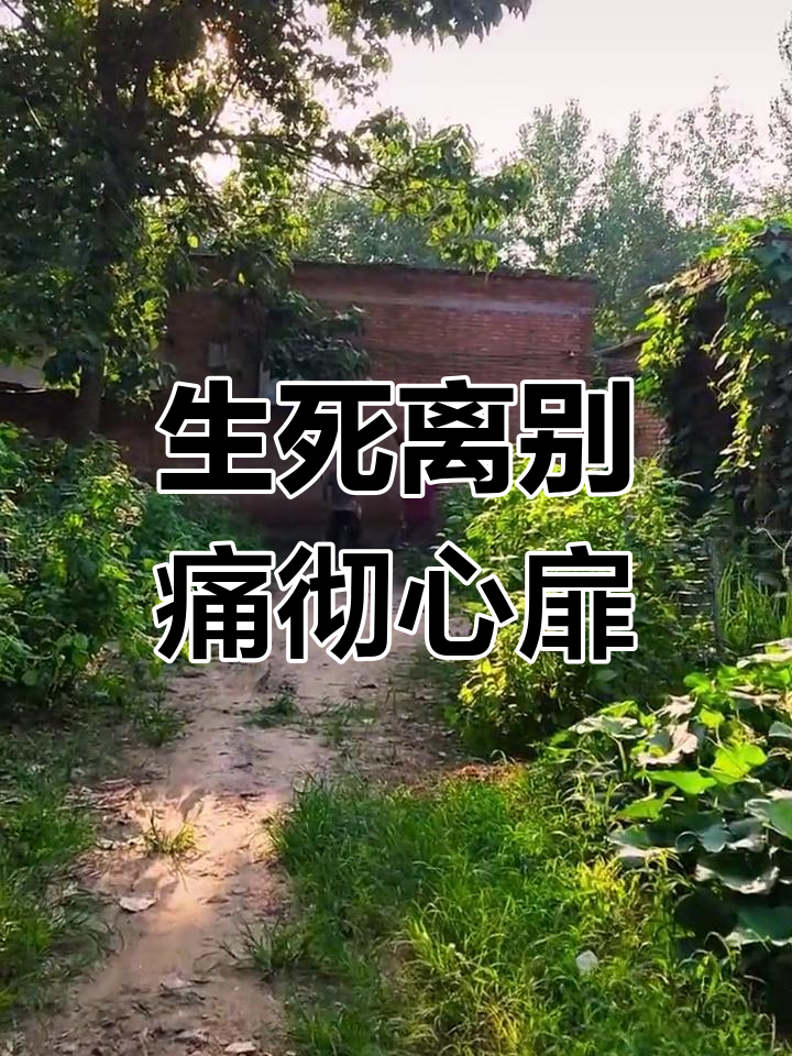 失去亲人的痛苦,无法言喻的悲伤