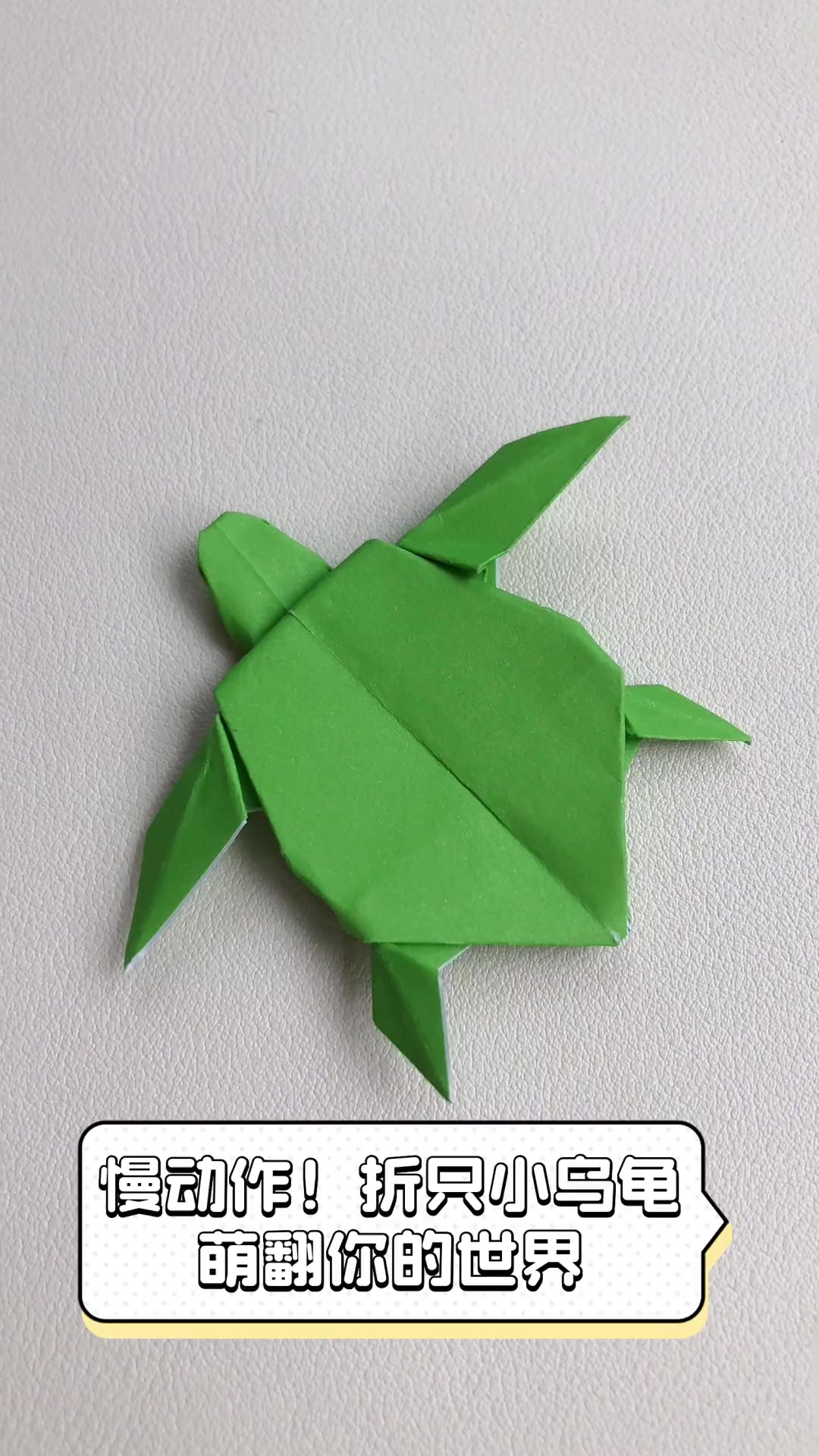 慢动作!折只小乌龟,萌翻你的世界