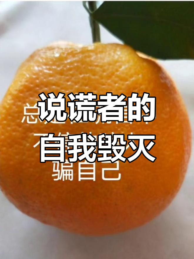 满嘴谎言的人,最终骗了自己也害了别人