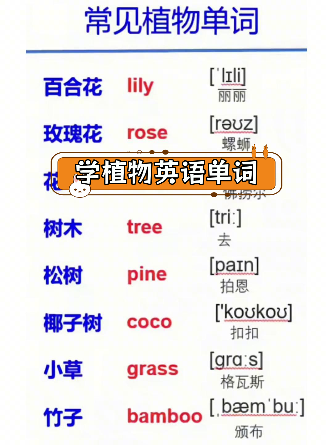 常见植物英语词汇汇总