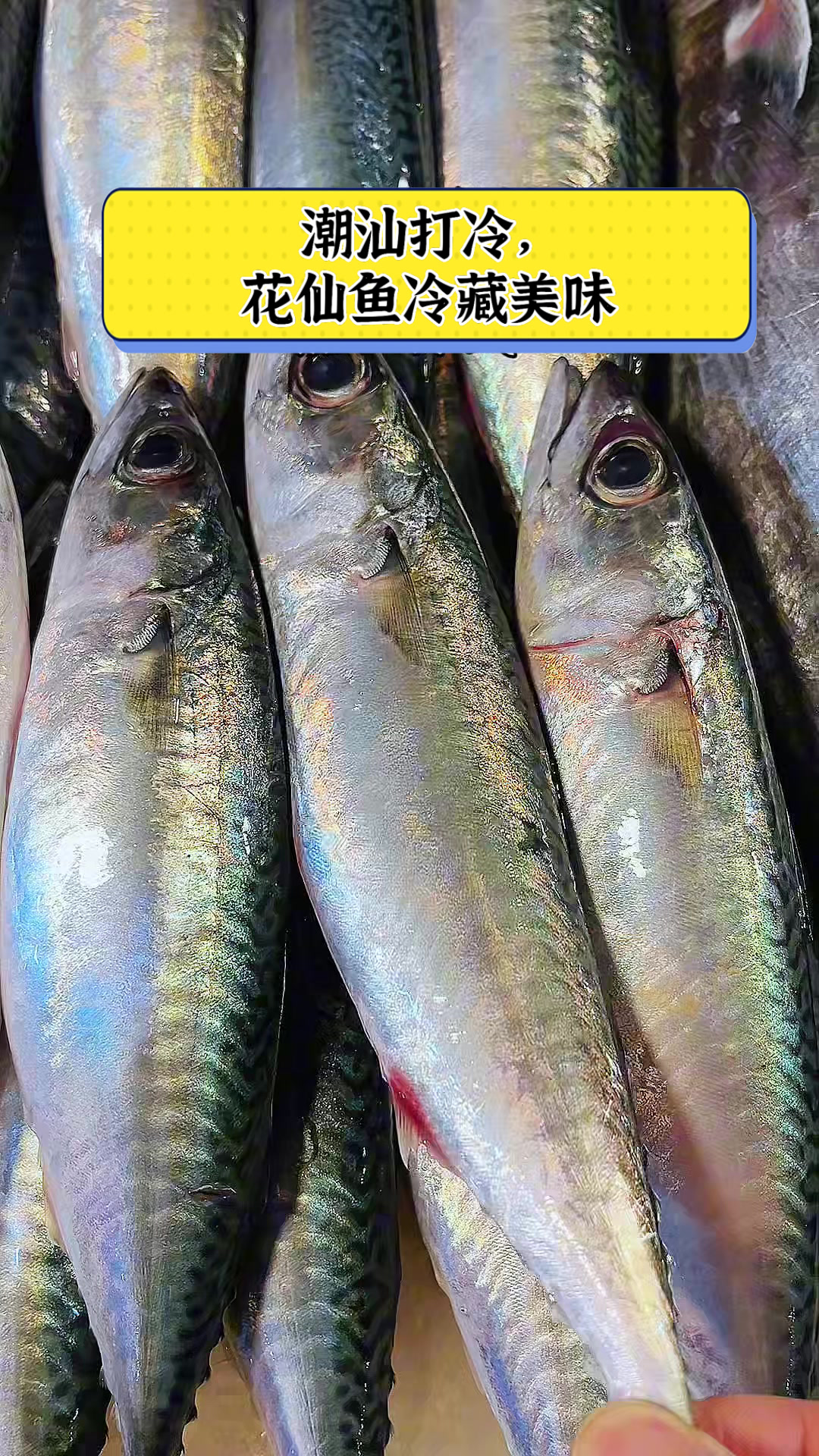 潮汕打冷,花仙鱼冷藏美味