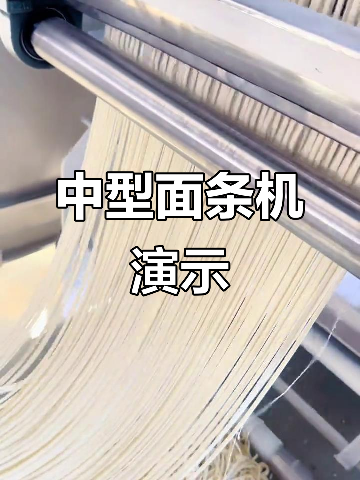 六款中型面条机演示,客户满意却难定