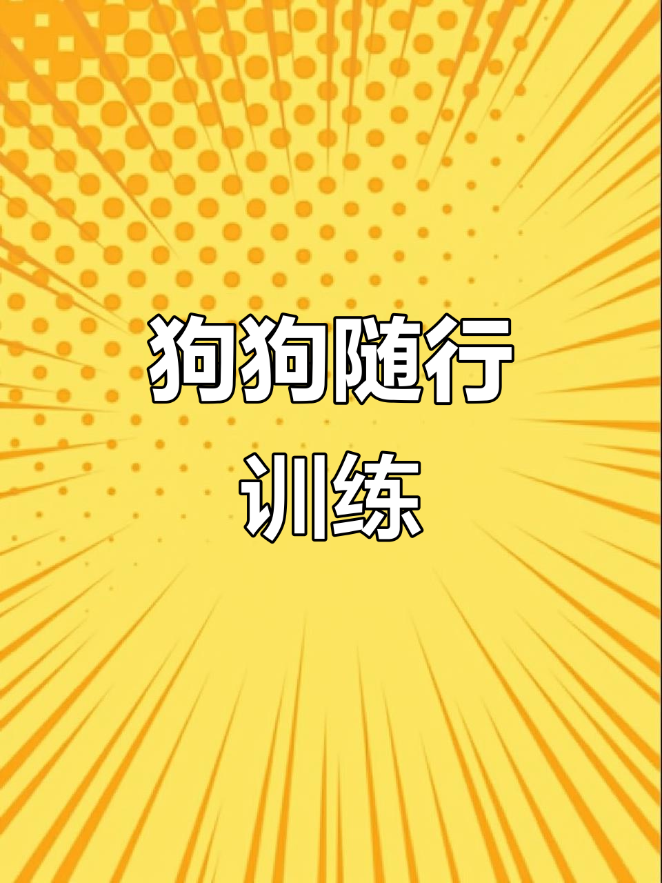 比格犬训练日常,轻松学会随行技巧