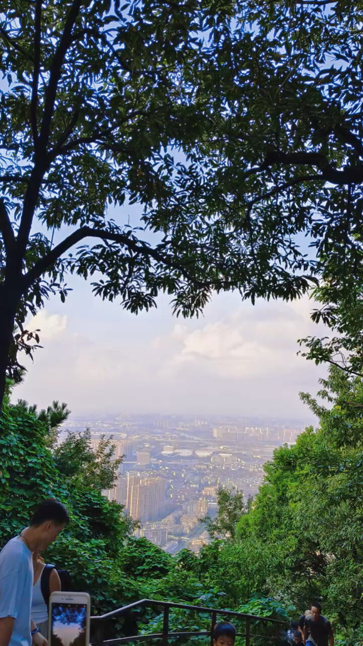 打卡无锡惠山爱心树