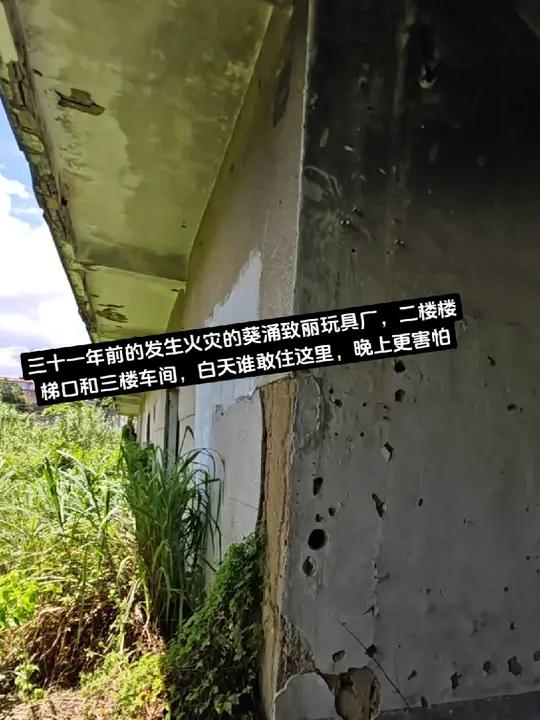 93年发生火灾的葵涌致丽玩具厂,白天在这里都有点害怕,晚上在这里更怕