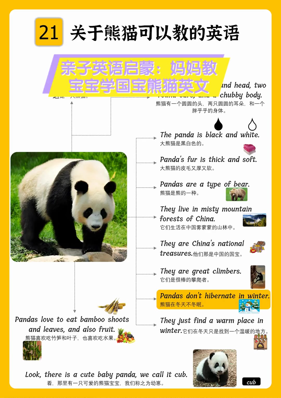 pandas的特点