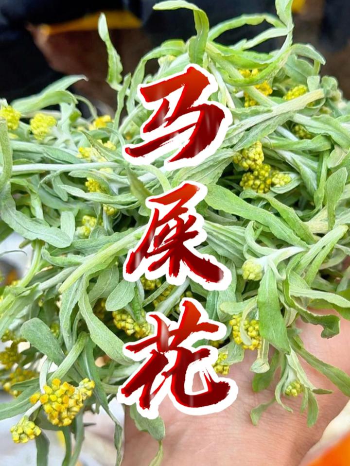 马屎花,也叫小黄花,制作成粑粑,有青草的香气!