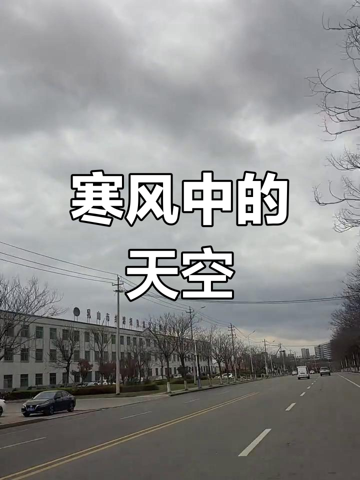 今天的风好大,冷得让人瑟瑟发抖