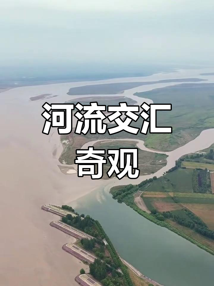 黄河与洛河交汇,浑浊与清澈共舞,自然之美尽显