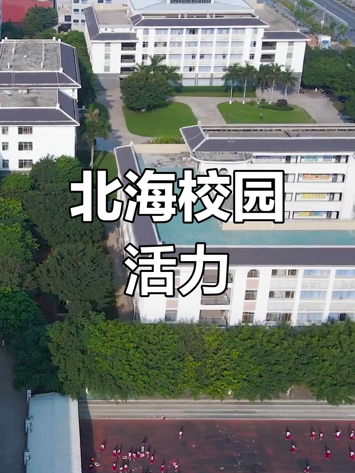 北海国际学校校徽图片