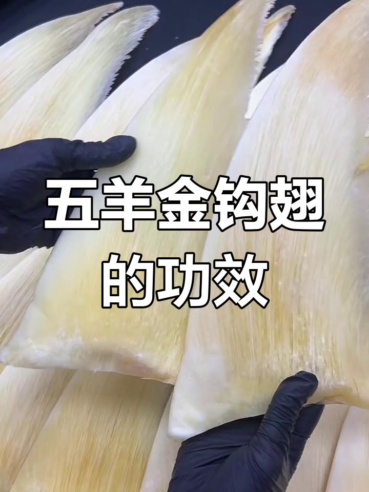 五羊金钩翅:鱼翅的独特功效与美味