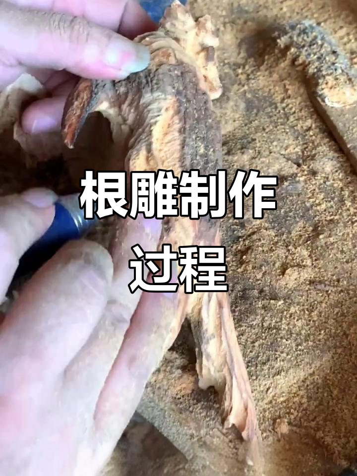 根雕艺术创作揭秘:从选材到雕刻的艰辛与乐趣