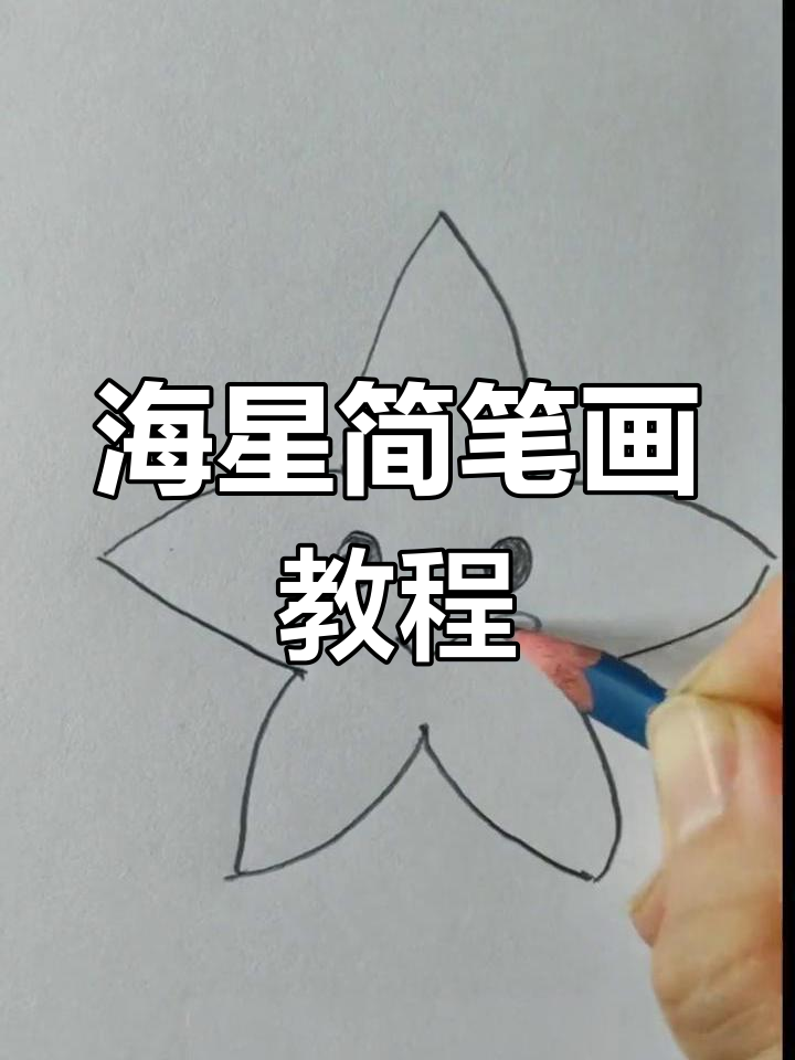 轻松学画海星,简单步骤教你绘制可爱形象