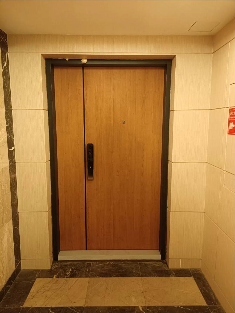 现场实拍|德式入户门,定制木纹饰面 诺沃芬 入户门 防盗门 极简门