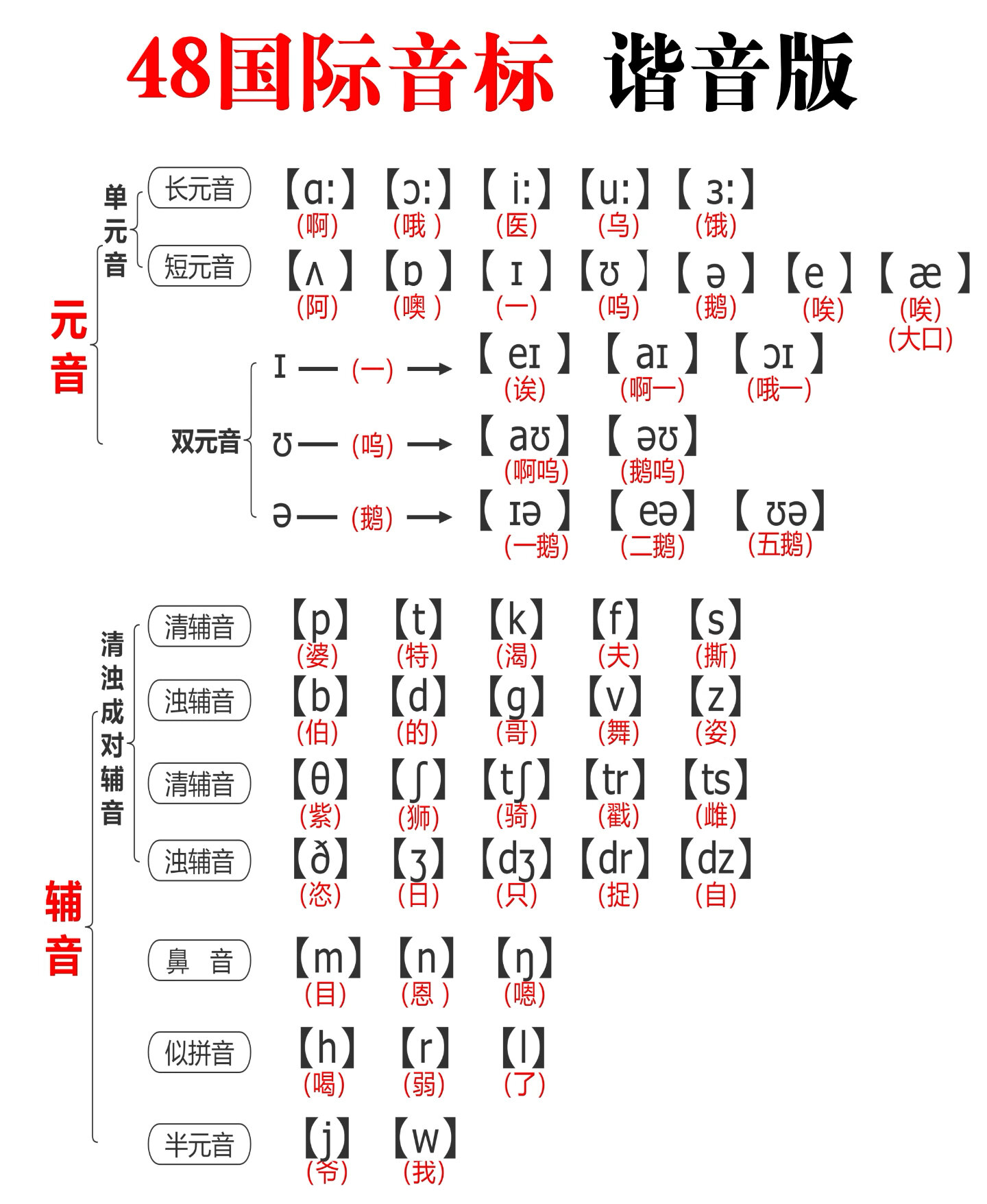 48国际音标谐音版!趣味记忆,加深印象!