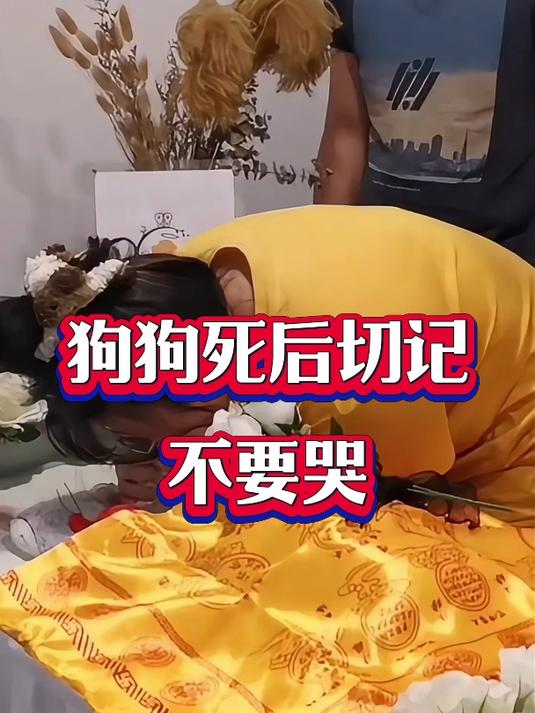 狗狗死后多久超度有效-狗狗死亡时为什么不闭眼