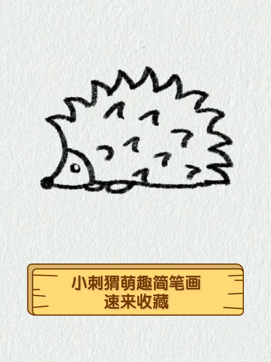 儿童简笔画小刺猬图片