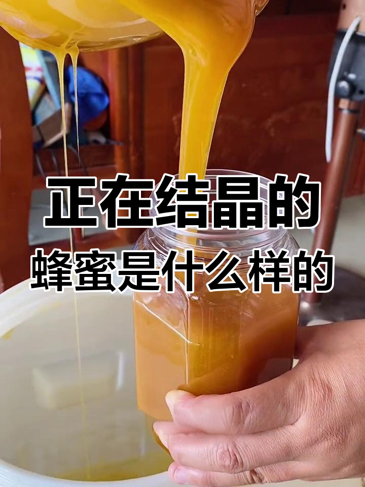 蜂蜜结晶怎么看真假(蜂蜜结晶是假的吗) 蜂蜜结晶怎么看真假(蜂蜜结晶是假的吗)