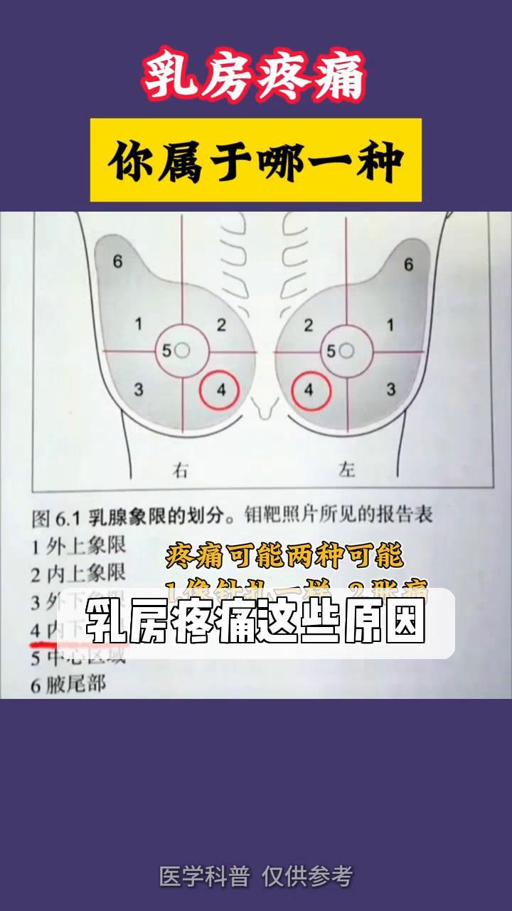 为什么乳房头会痛