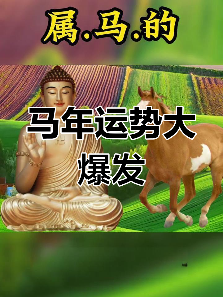 帝师讲19年生肖马运势(生肖马2025运势及每月运势)